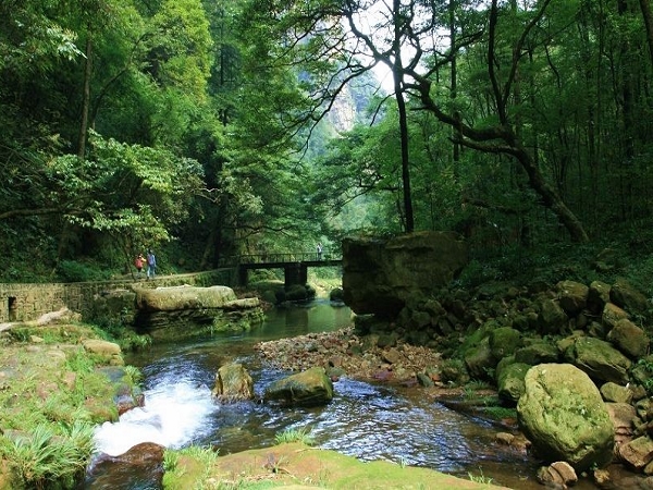 <张家界-凤凰-袁家界双飞5日游>住天下凤凰